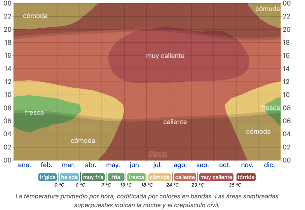 Temperatura por hora en Puerto Vallarta 2024