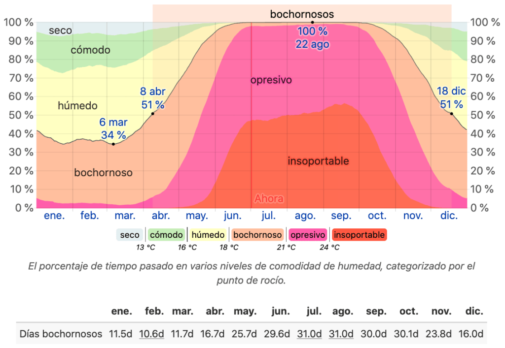 Humidity Levels in Puerto Vallarta in 2024