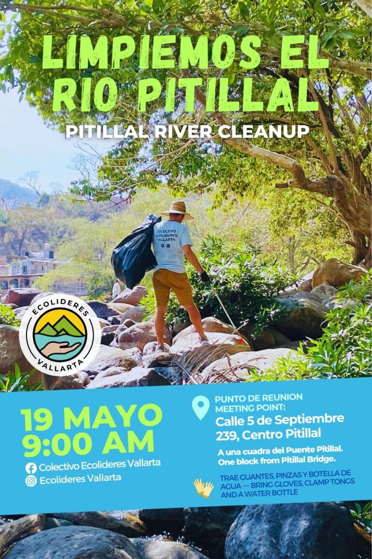 Limpieza del río pitillal en Puerto Vallarta