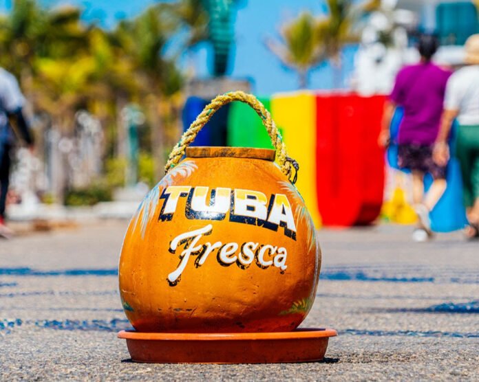 5 Beneficios De La Tuba, Bebida Tradicional De Puerto Vallarta