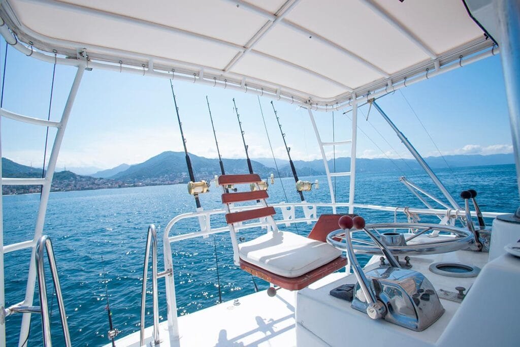 Área de pesca con portacañas profesional en la popa.