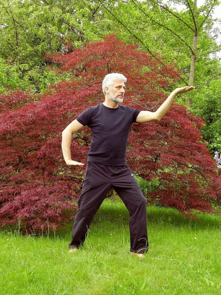 Tai Chi Solo