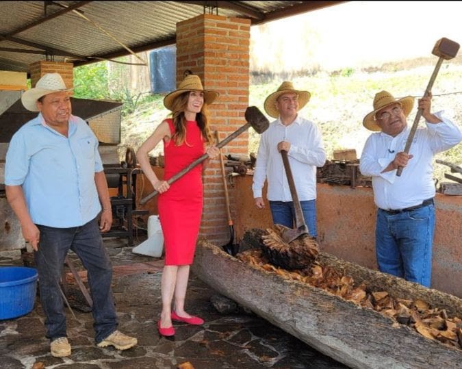 Wine Oh! CBS conociendo la elaboración del Tequila