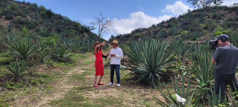 Wine Oh! Puerto Vallarta visitando plantación de tequila.