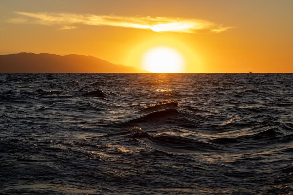 Tour al atardecer en Catamarán de lujo en Puerto Vallarta.