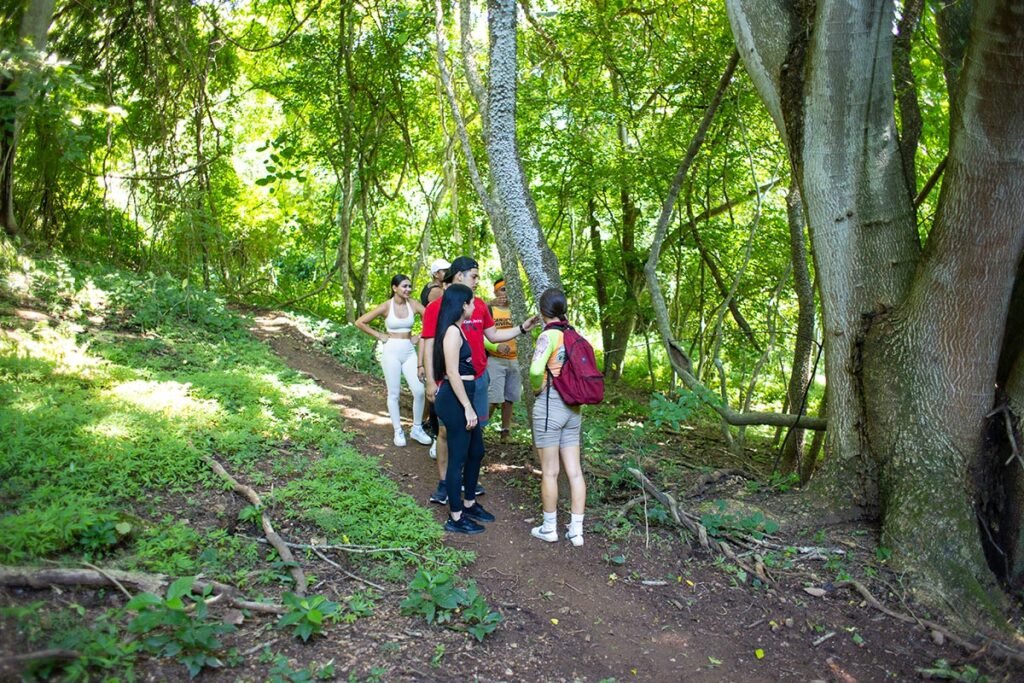 Tour Hiking Jorullo Point