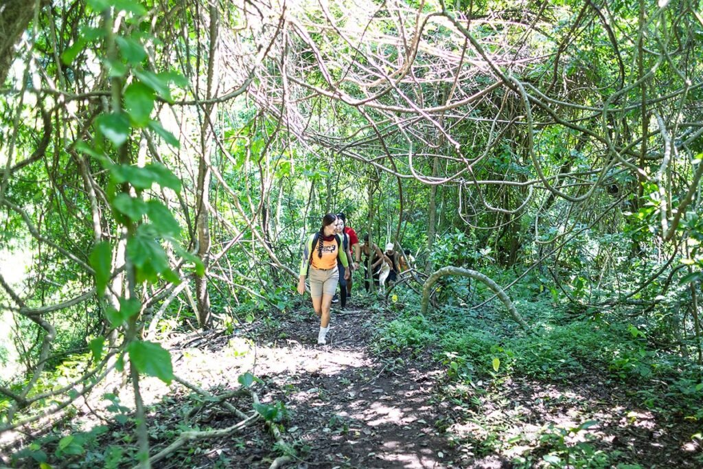 Tour Hiking Jorullo Point