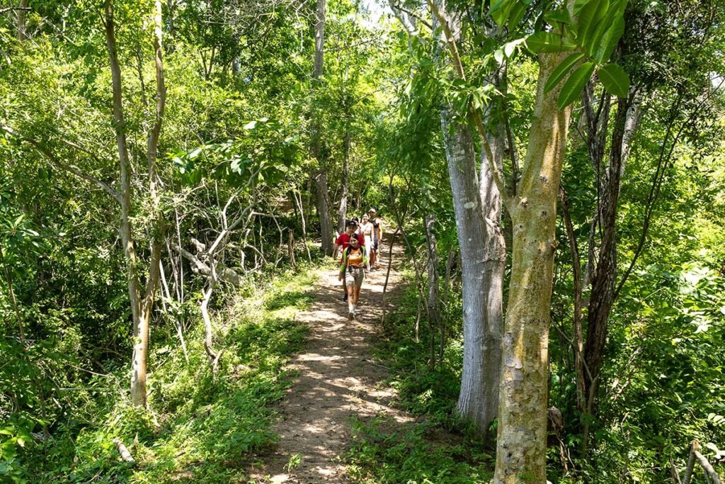 Tour Hiking Jorullo Point