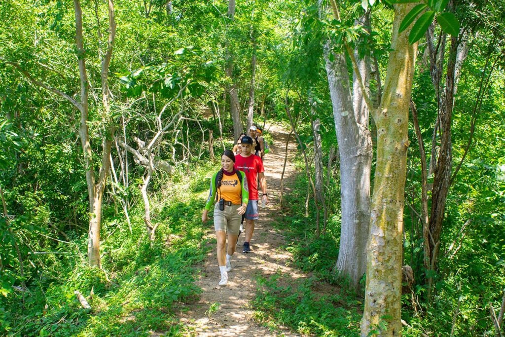 Tour Hiking Jorullo Point