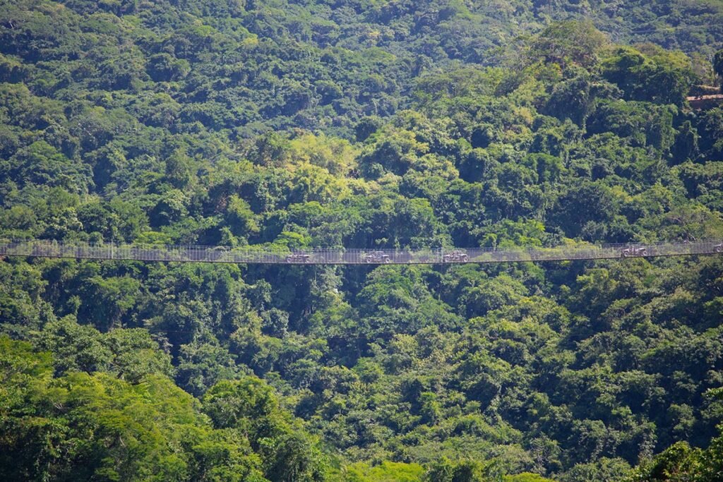 Jorullo Bridge RZR Zip Line