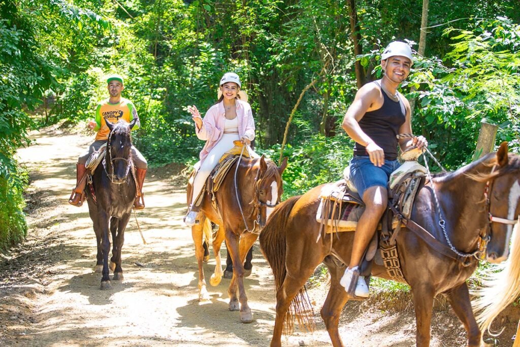 Tour de Caballos