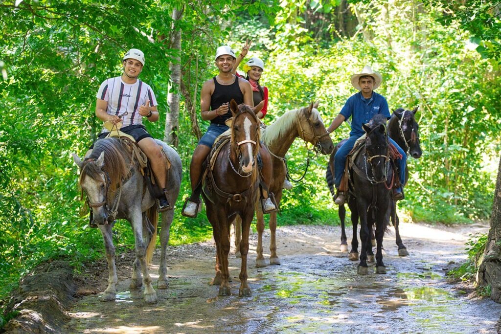 Tour de Caballos