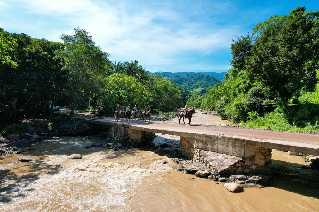 Tour de Caballos