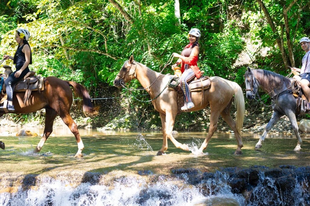 Tour de Caballos un paseo que recordaras siempre