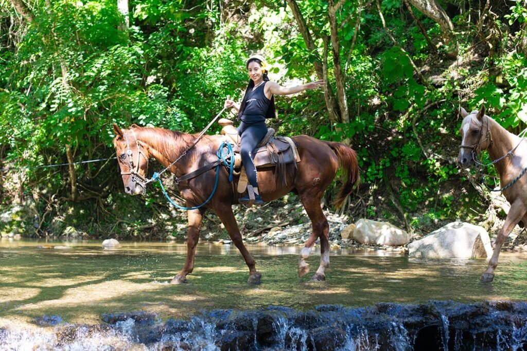 Tour de Caballos Vive un paseo con la intensidad de la naturaleza