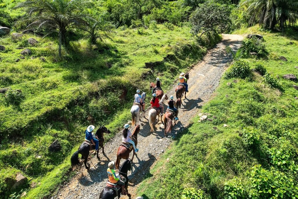 Tour de Caballos en Puerto Vallarta: Aventura en la Sierra Madre 1 Grupo de jinetes explorando la exuberante selva de la Sierra Madre Occidental a caballo.