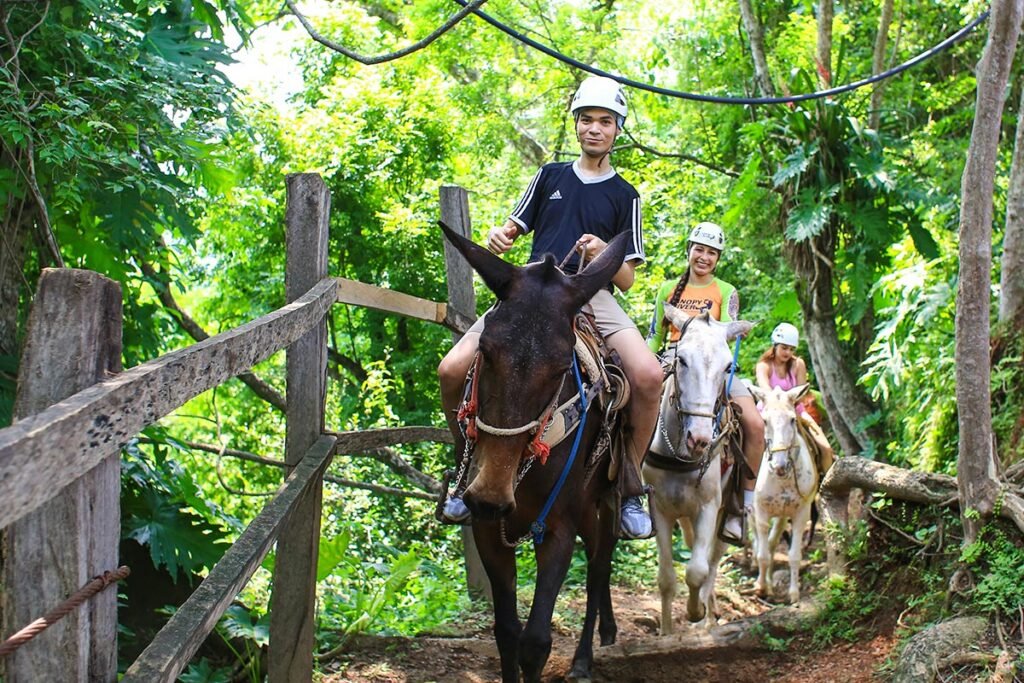 Jorullo Bridge RZR Zip Line 11 Tirolesas 5 Turistas disfrutando del relajante y tradicional paseo en mula por la selva al finalizar su aventura extrema.