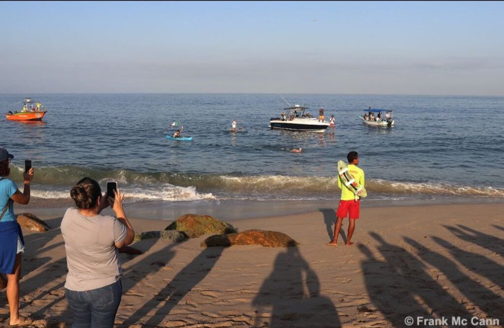 Nado por las Ballenas Puerto Vallarta 2024