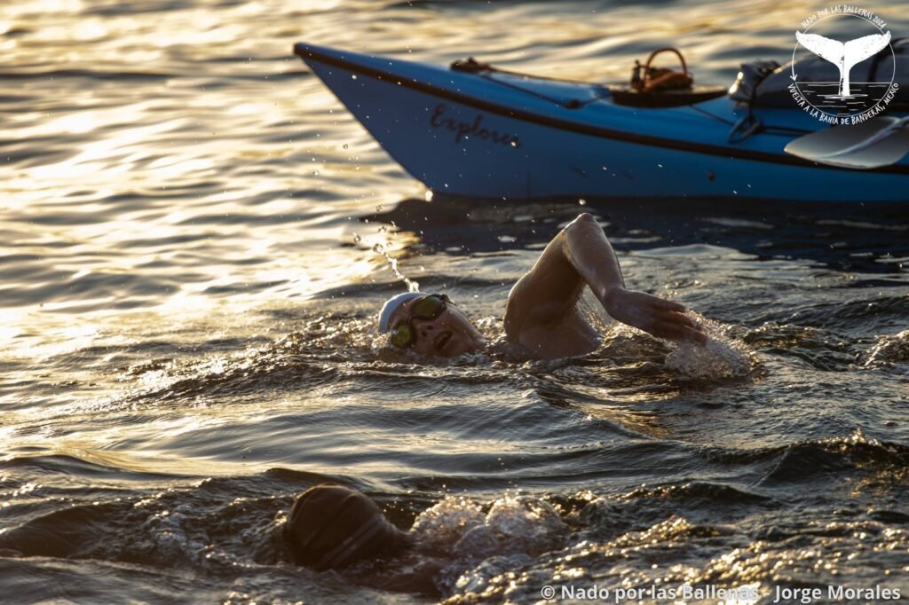 Conservación de la Ballena Jorobada en la Bahía de Banderas