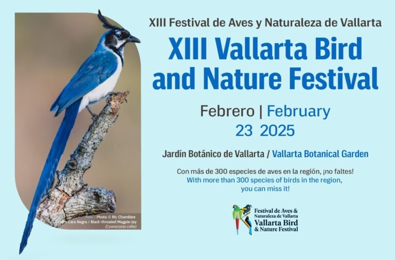 Vallarta Bird and Nature Festival 2025