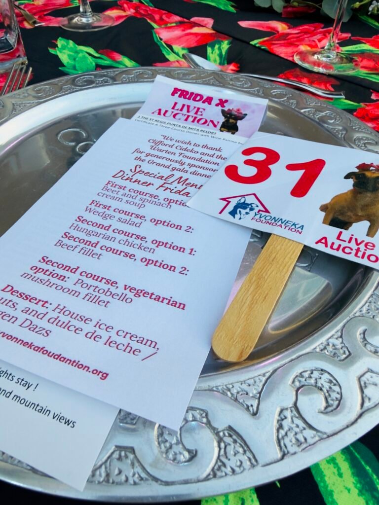 Fundacion Yvonneka 1