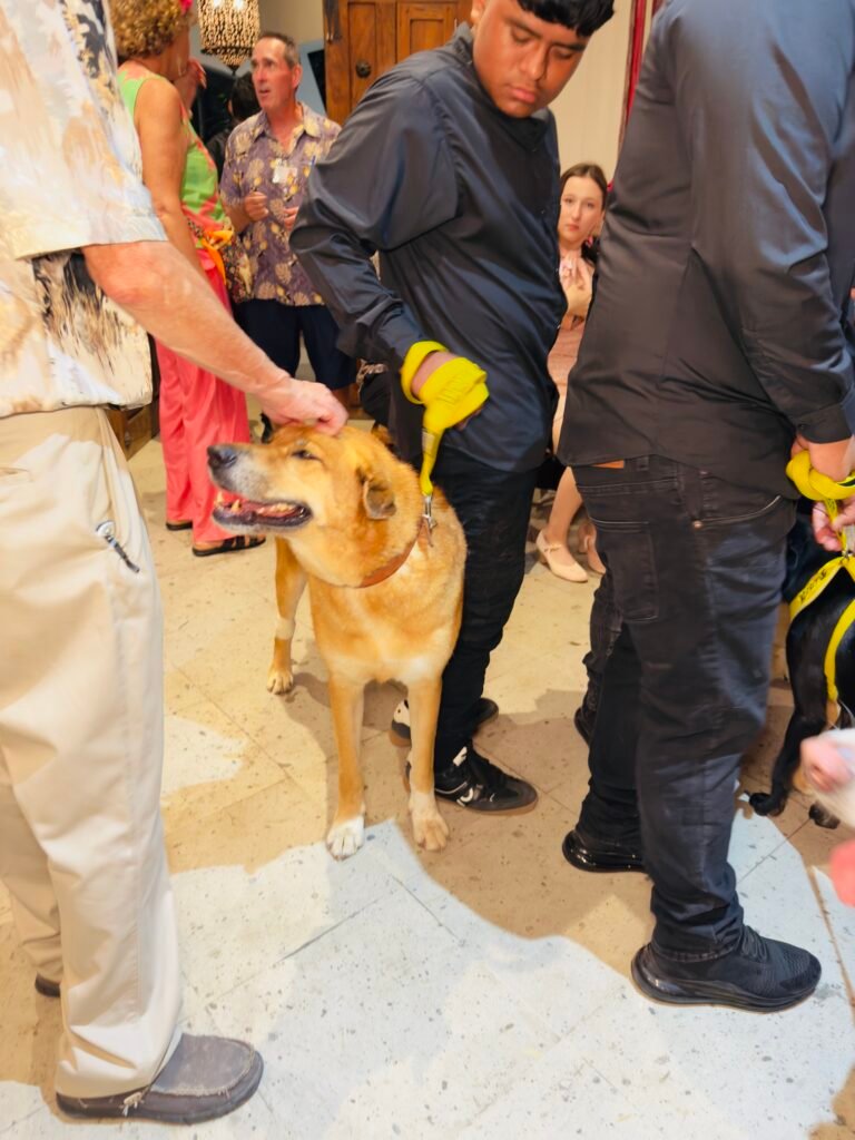 Fundacion Yvonneka 5