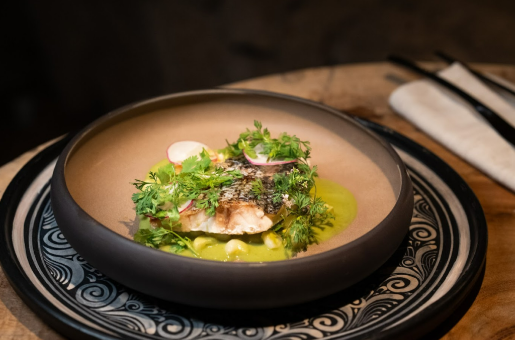 Paco Ruano Rhythms of the Night 2