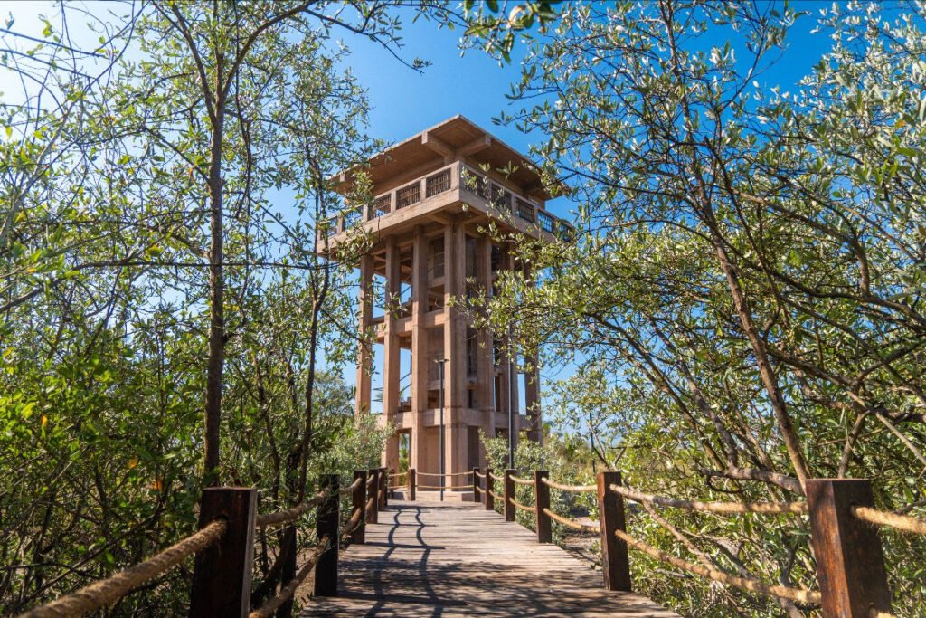 Estero El Salado: Descubre el Increíble Pulmón Verde de Puerto Vallarta 4 Estero el salado 5