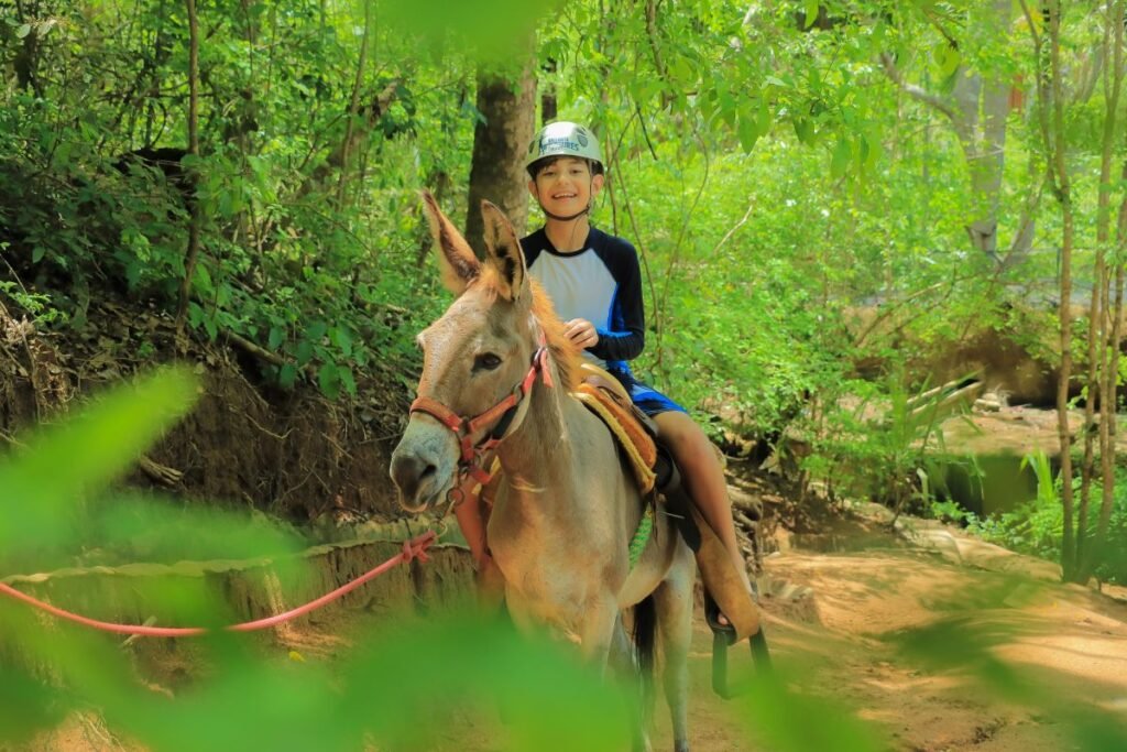 Niños en safari de burritos en Las Caletas.
