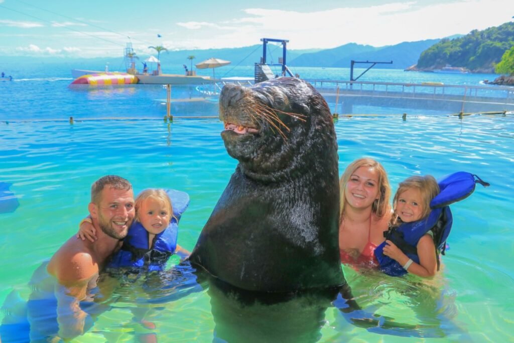 Nado con lobos marinos en Las Caletas.