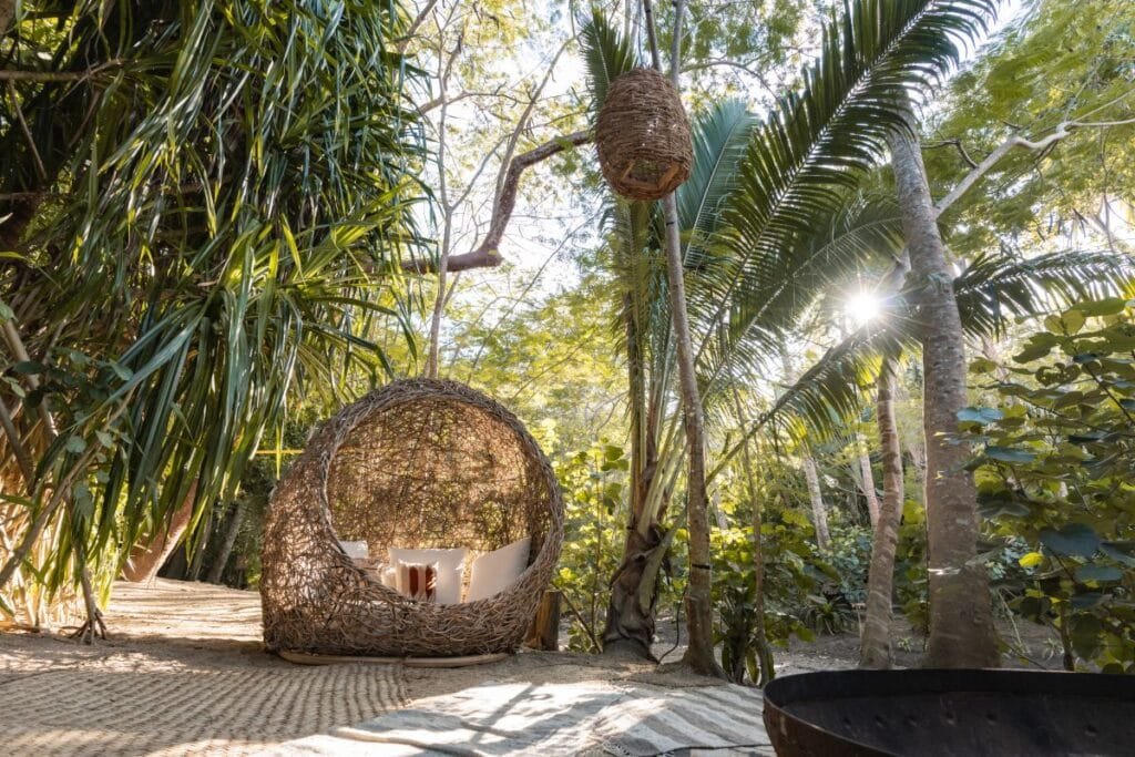 Majahuitas All Inclusive Beach Day: Tu Escapada de Domingo al Paraíso 2 Silla nido de descanso en la selva de Majahuitas.