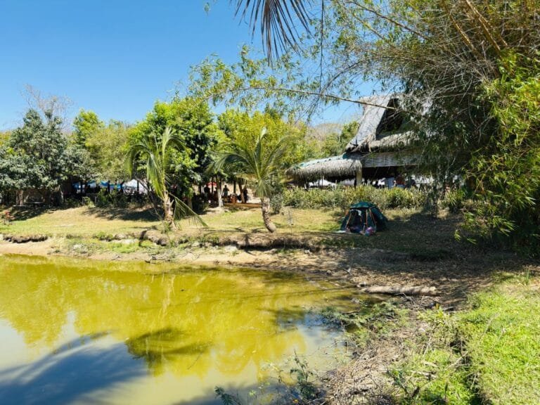 Rancho Madre Tierra Puerto Vallarta: El Oasis Sagrado para Reconectar