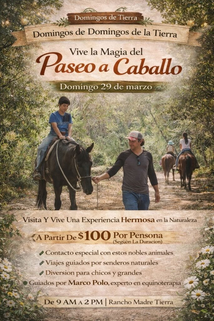 Rancho Madre Tierra Puerto Vallarta: El Oasis Sagrado para Reconectar 3 Niño disfrutando de un paseo a caballo guiado en la selva de Rancho Madre Tierra Puerto Vallarta.