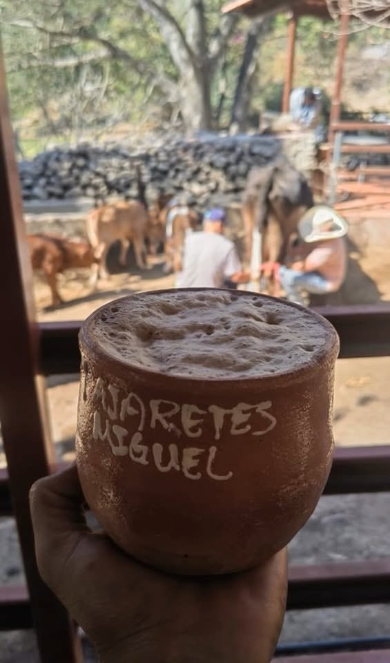 taza de barro con espuma de pajarete jalisciense en rancho ganadero