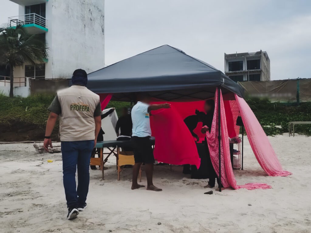 Operativo en Playa Careyeros: Profepa recupera la ZOFEMAT 3 Desmantelamiento de carpa con telas rosas destinada a masajes sin autorización ambiental en Playa Careyeros durante el operativo de Profepa.