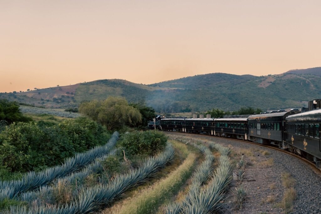 Tours en Tequila Jalisco: Aventura, Trenes y Cascadas Ocultas 2 Ferrocarril turístico avanzando por las vías rodeadas de agave azul durante la luz del atardecer.