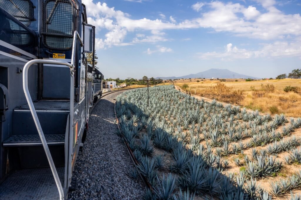 Tours en Tequila Jalisco: Aventura, Trenes y Cascadas Ocultas 3 Perspectiva desde el exterior de una locomotora en movimiento recorriendo cultivos de agave bajo un cielo azul.